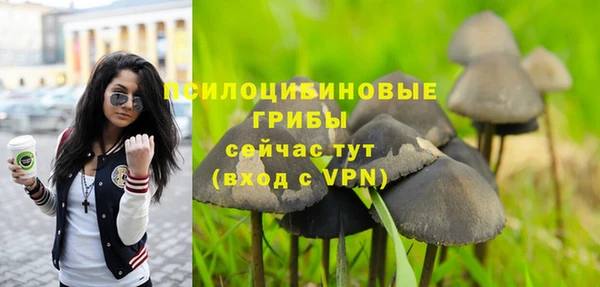 мет Армянск
