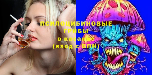 сатива Баксан