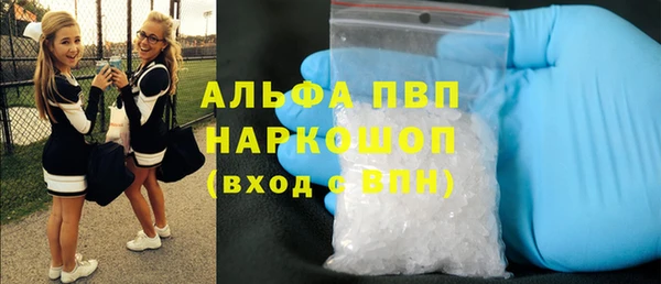 сатива Баксан