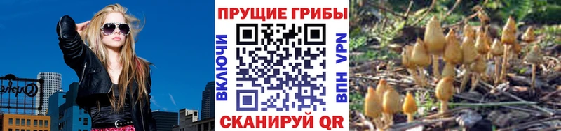 купить закладку  Ревда  Галлюциногенные грибы мицелий 